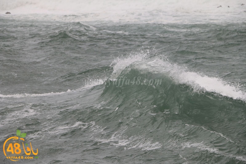 yaffa weahtera (4).jpg